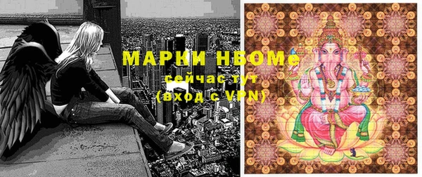 индика Бронницы